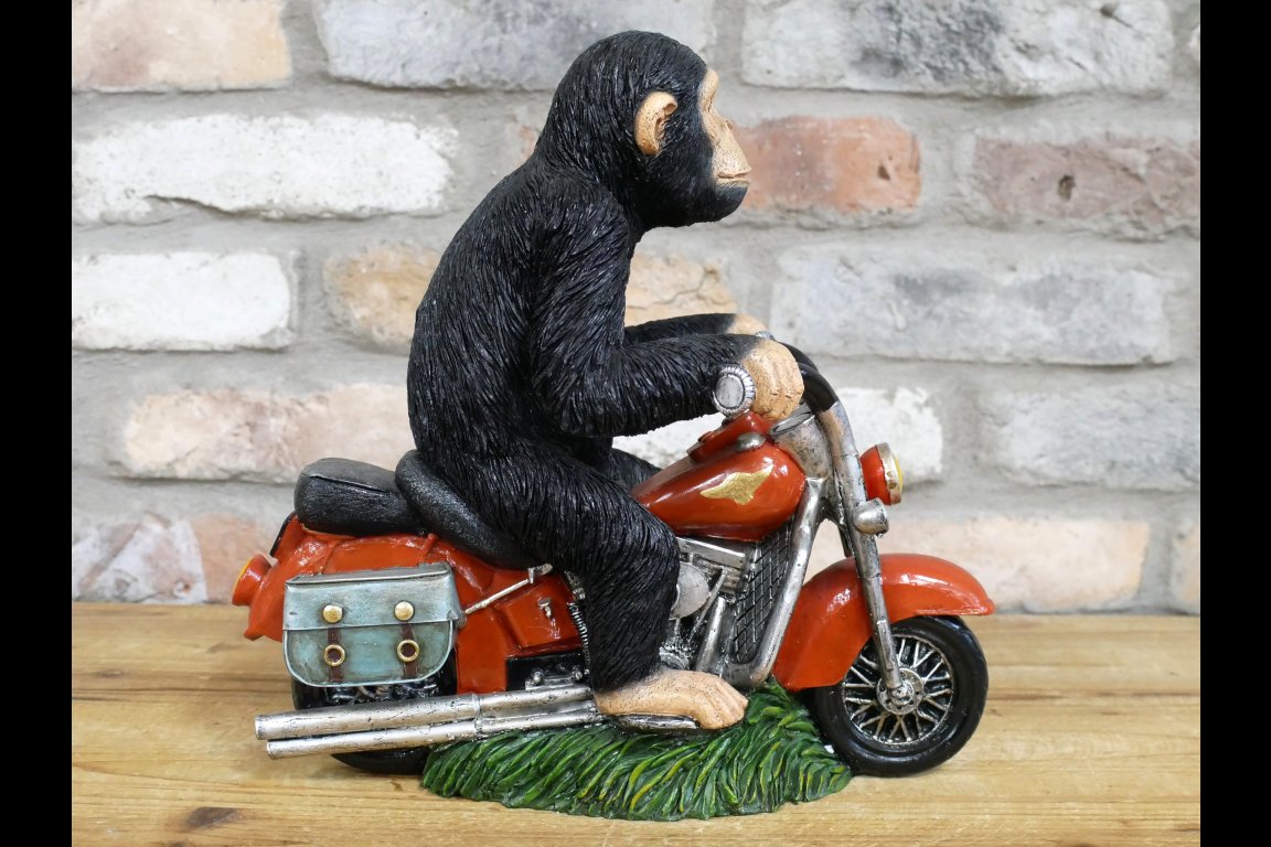 Monkey On Motorbike
