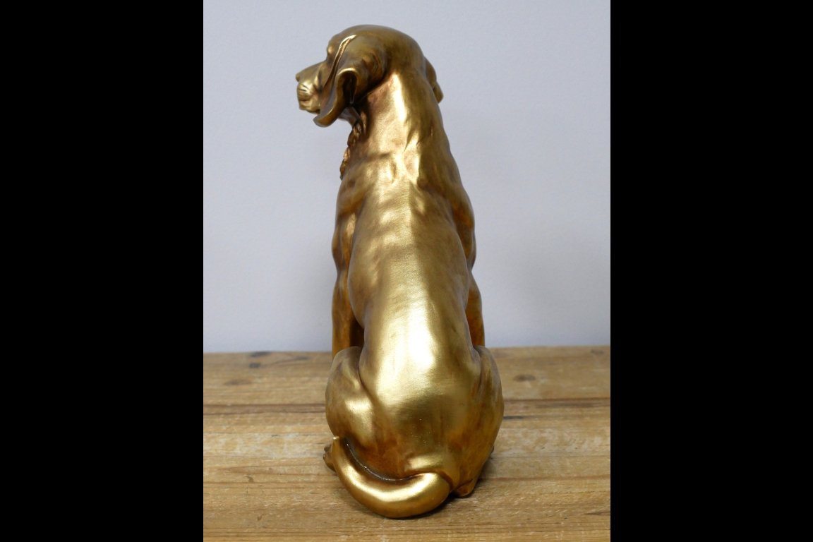 Golden Dog