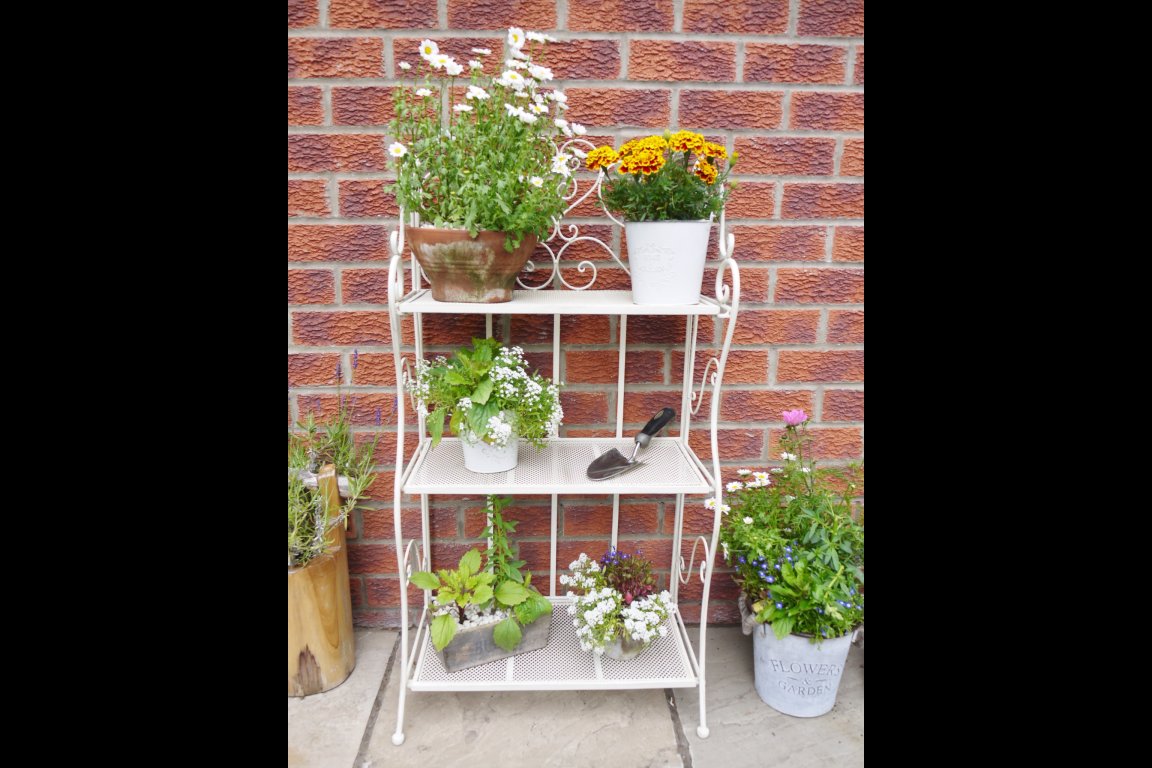 3 Tier Shelf