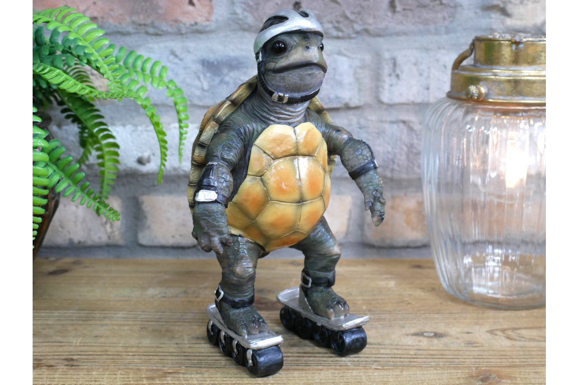 Speedy Tortoise
