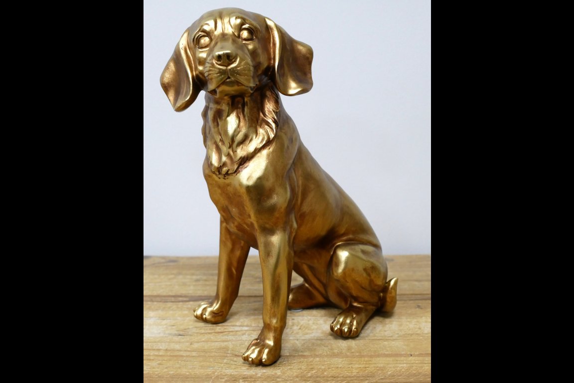 Golden Dog
