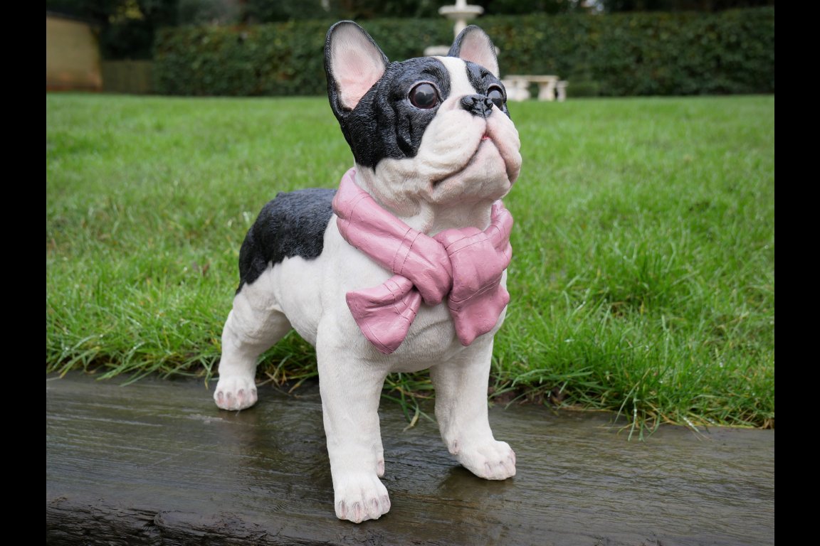 Dog With Scarf