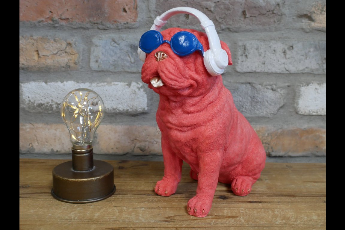 Dog With Headphones