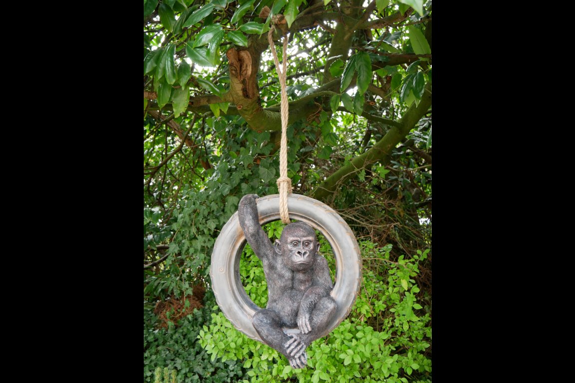 Gorilla On Tyre Swing