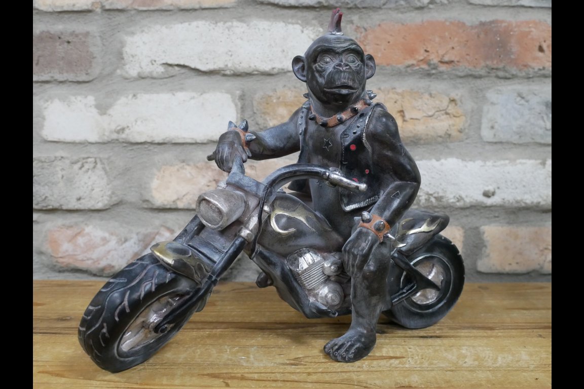 Monkey On Motorbike