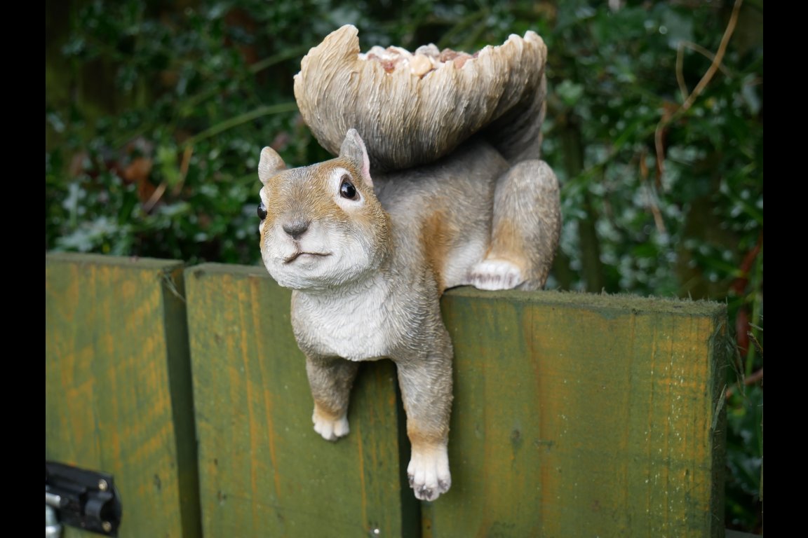 Squirrel Feeder