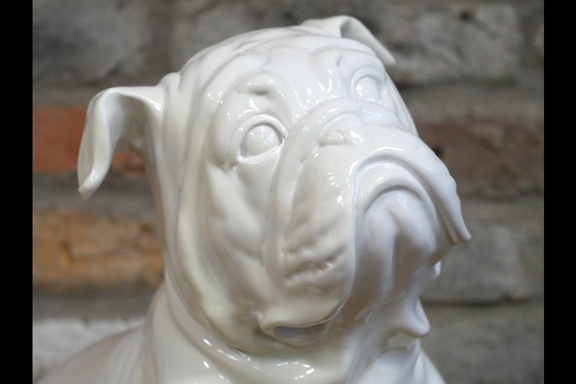White Bulldog
