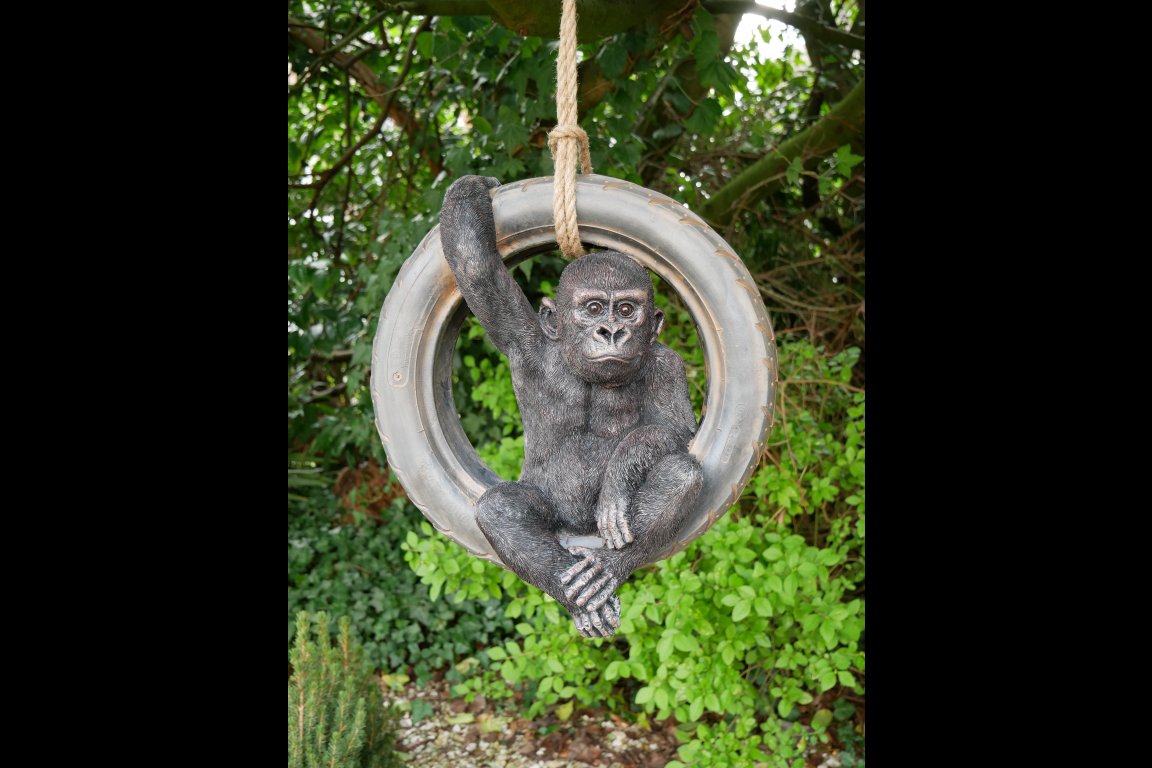 Gorilla On Tyre Swing