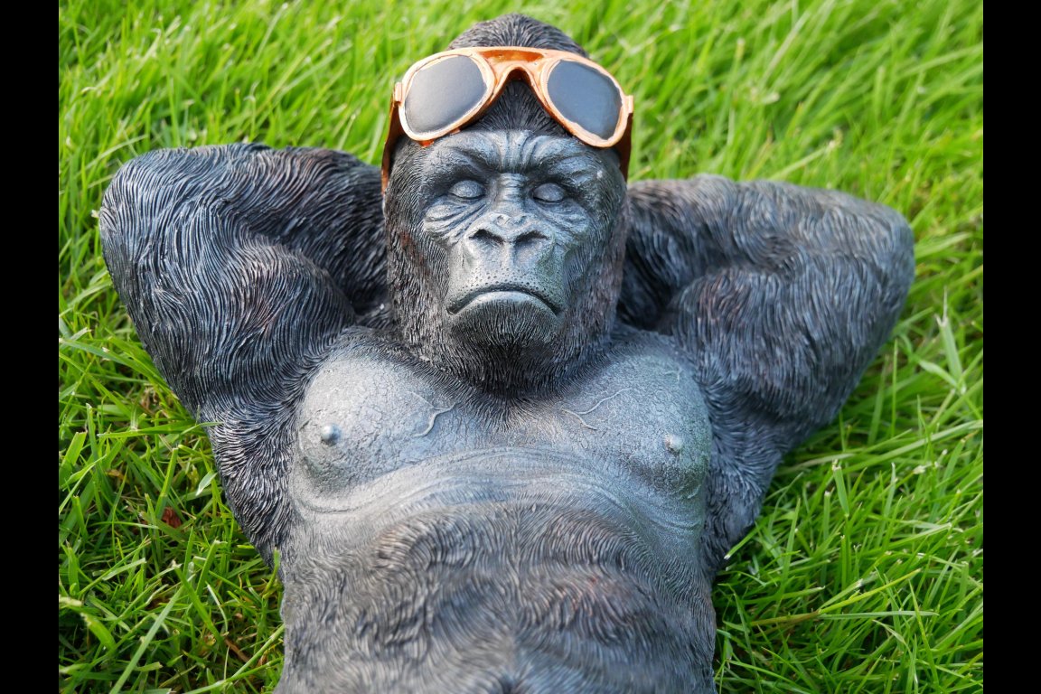 Chilling Gorilla