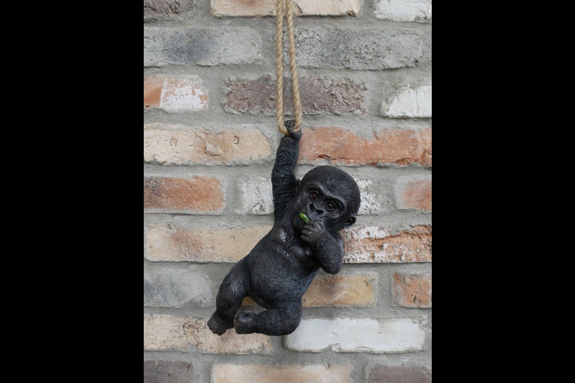 Hanging Baby Gorilla