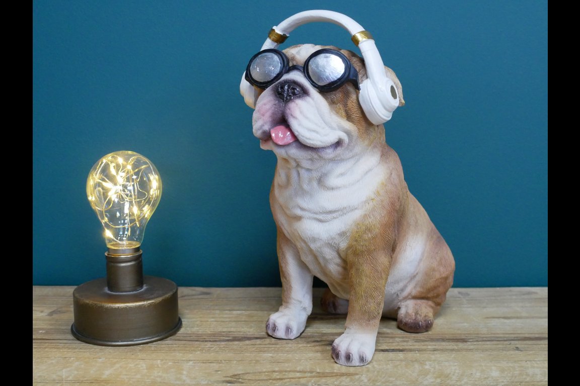Dog With Headphones