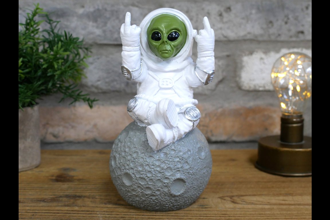 Up Yours Alien