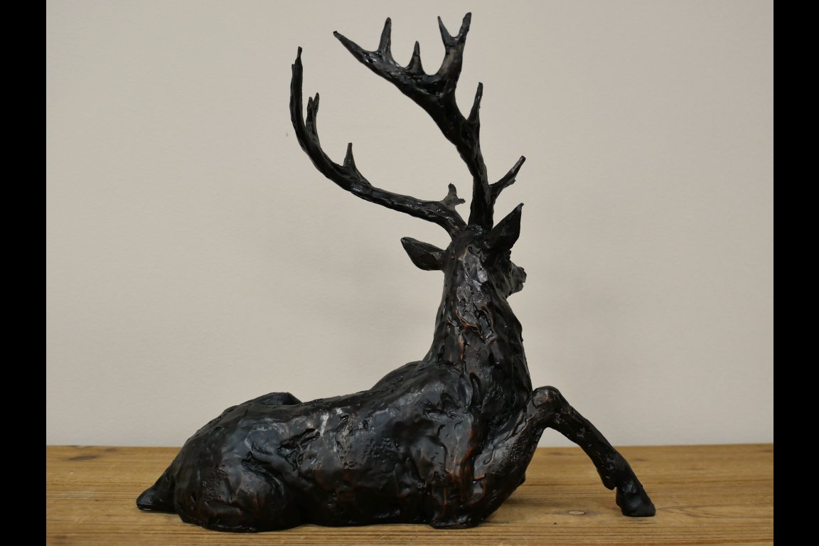Laying Stag