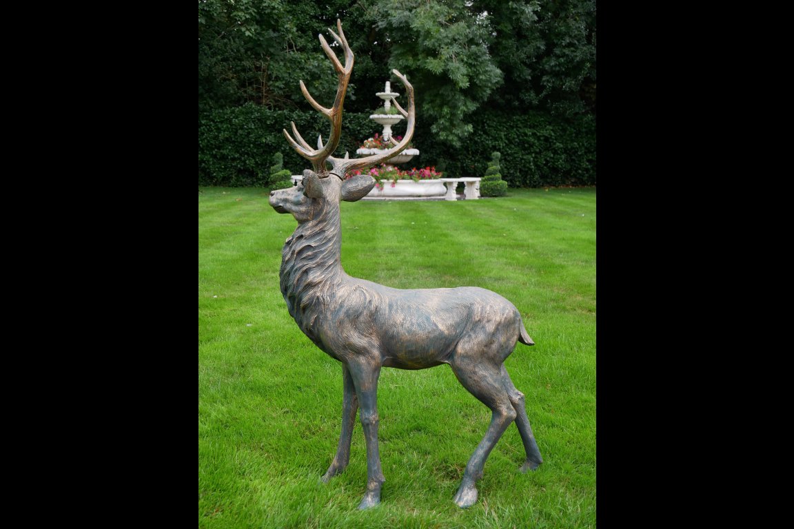 Stag