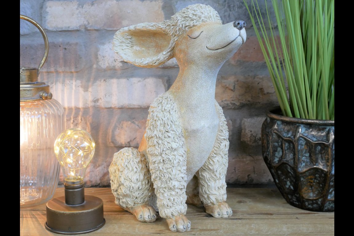 Poodle