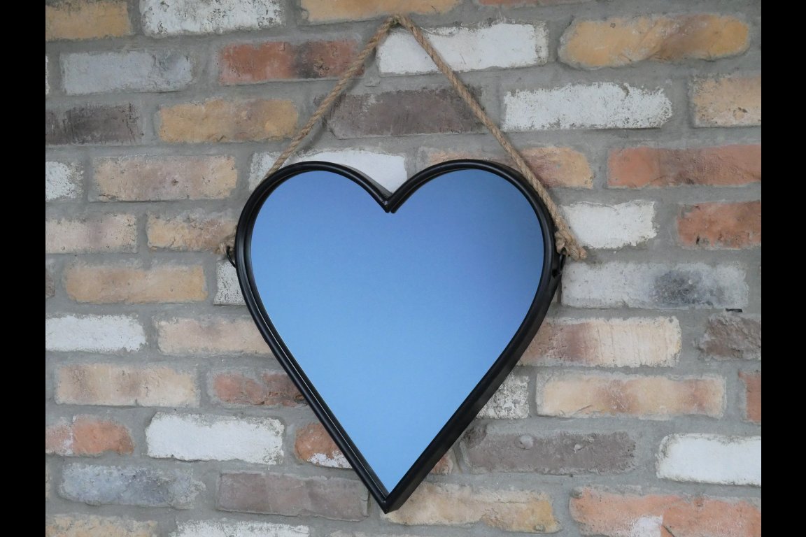 Heart Mirror