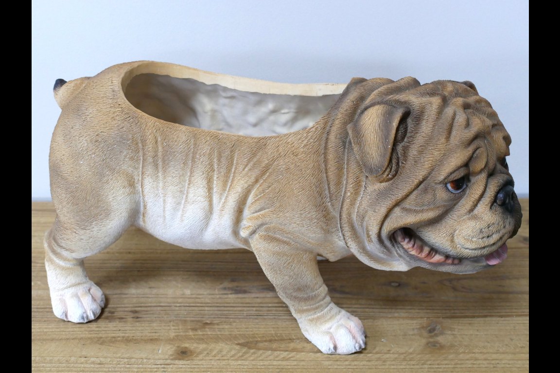 Bulldog Planter