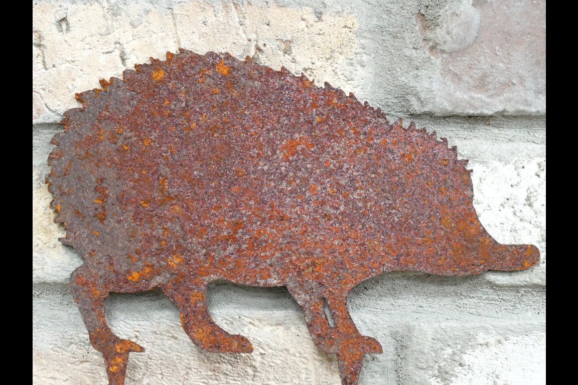 Hedgehog Spike