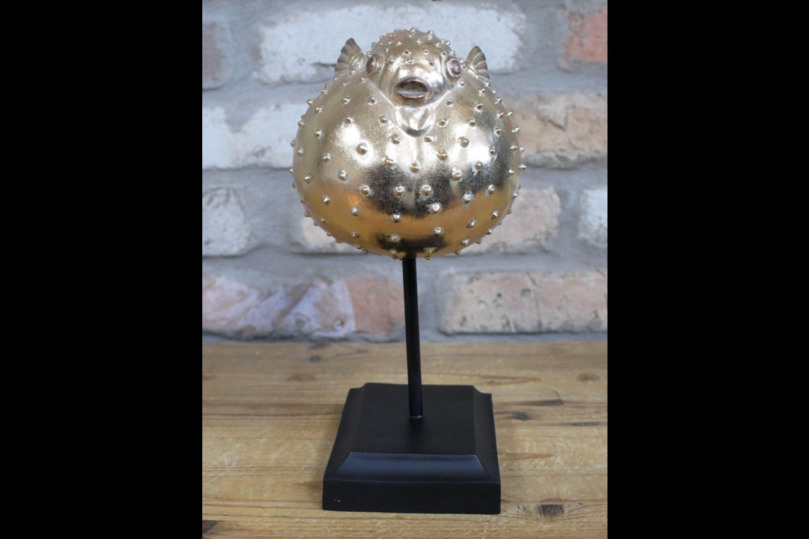 Puffer Fish