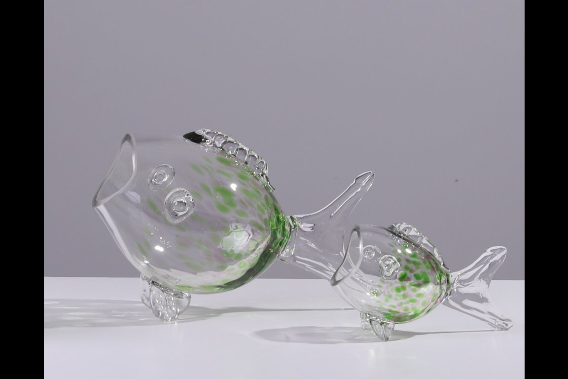 Big Mouth Glass Fish