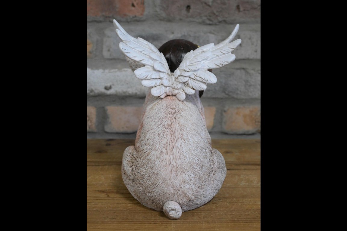Flying Pig