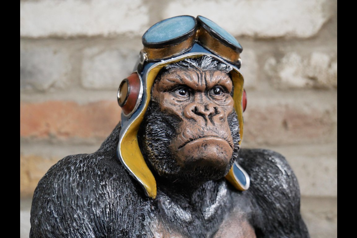Moody Gorilla