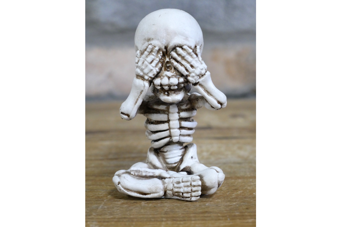 Set Of 3 Skeletons