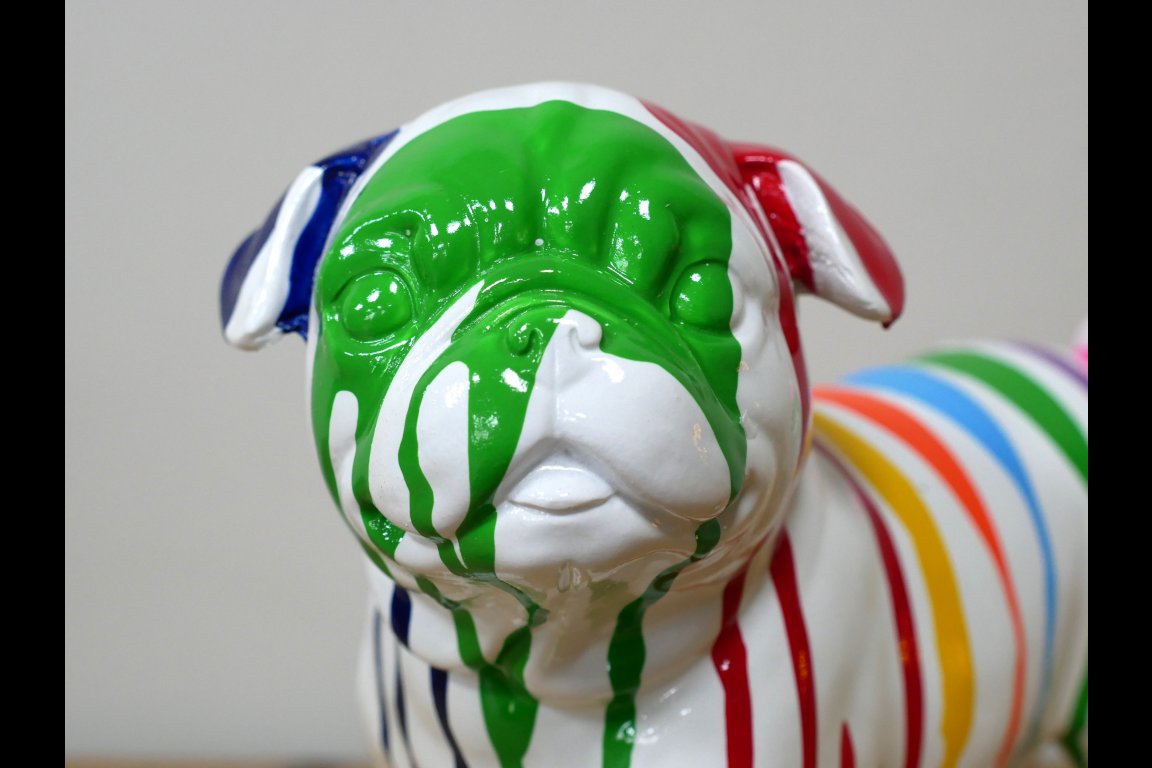 Dog With Stripes