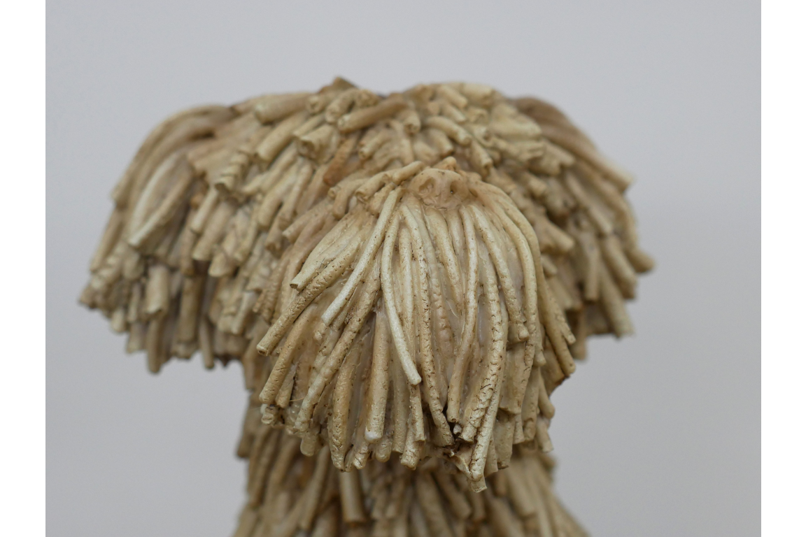 Sitting Shaggy Dog