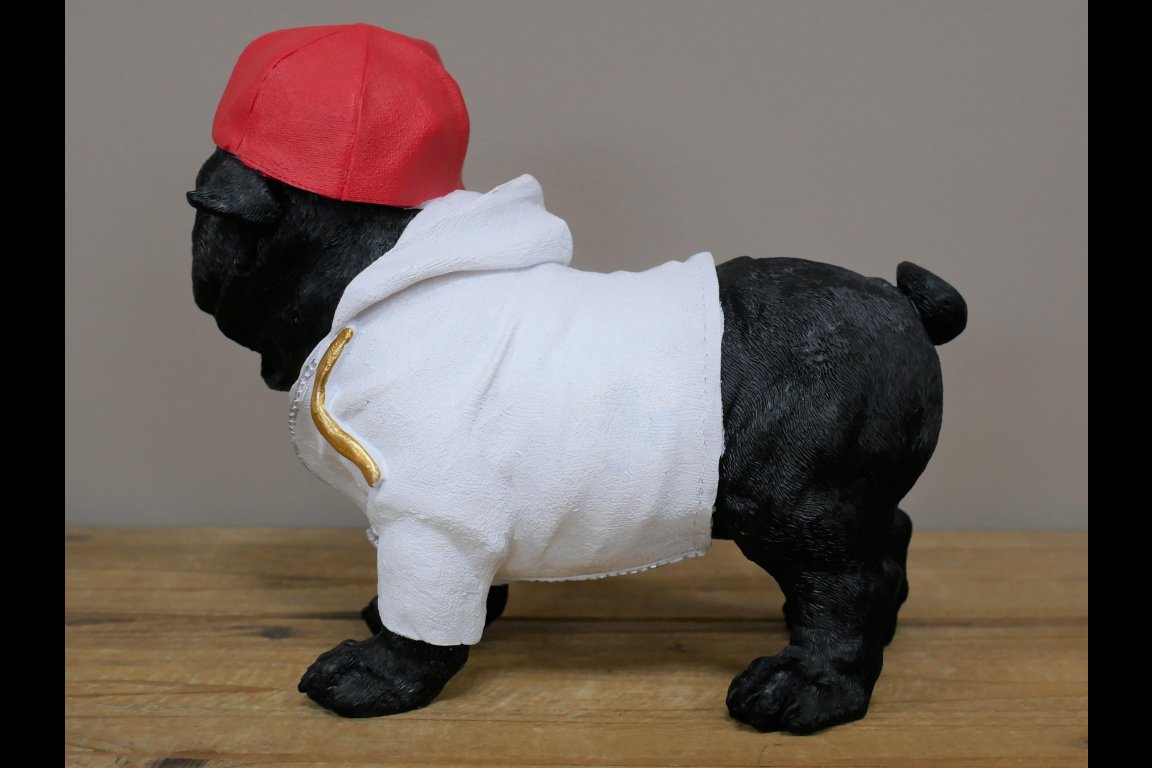 Dog With Cap