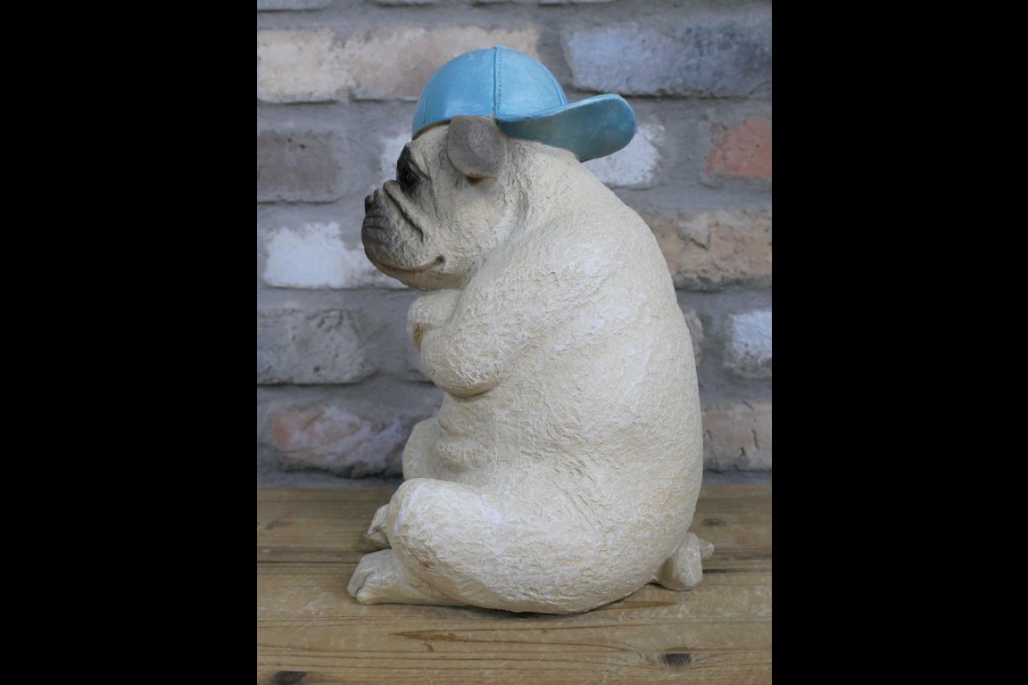 Arms Crossed Bulldog