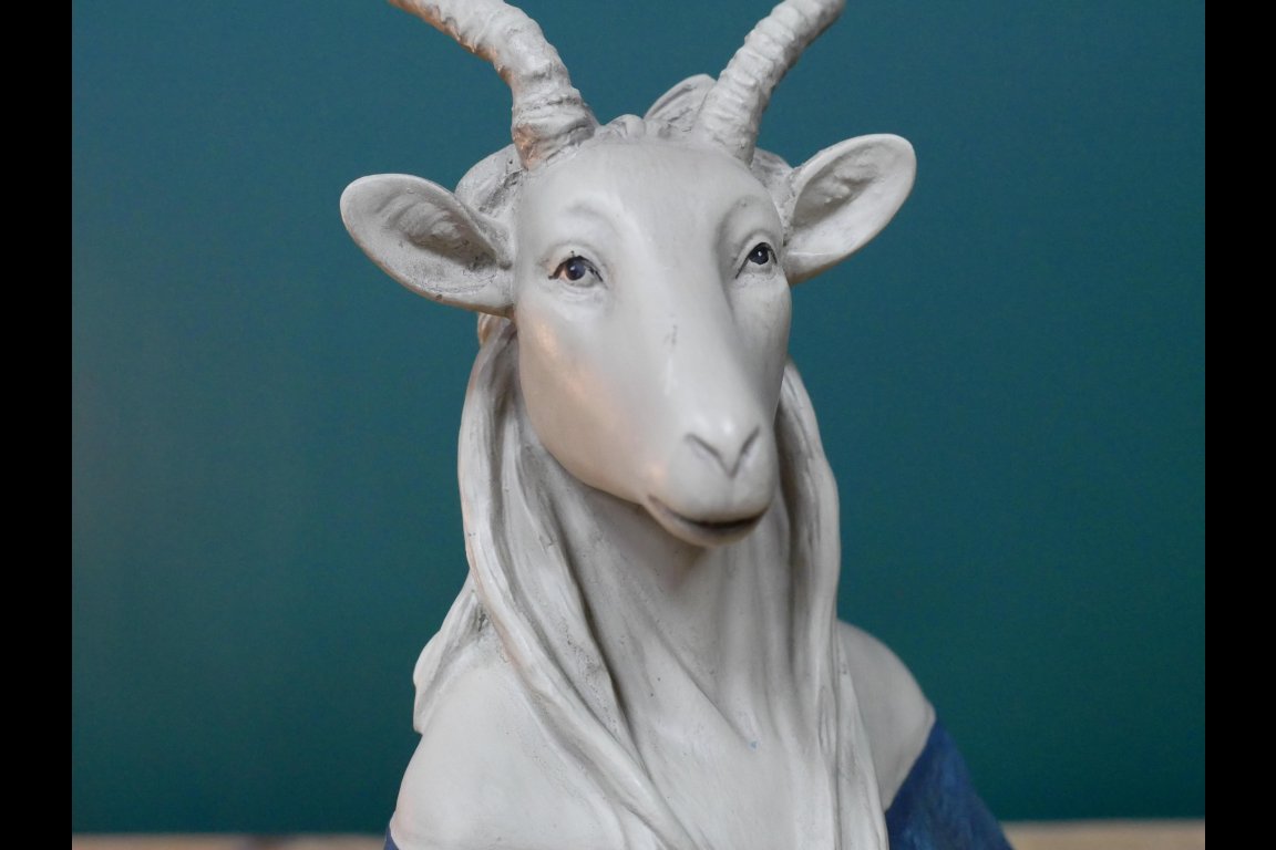 Antelope Bust
