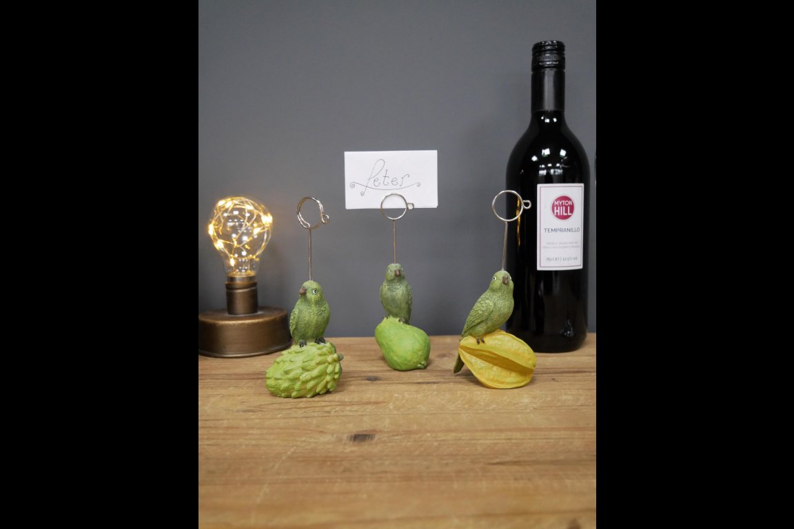 Parrot Place Card Holders
