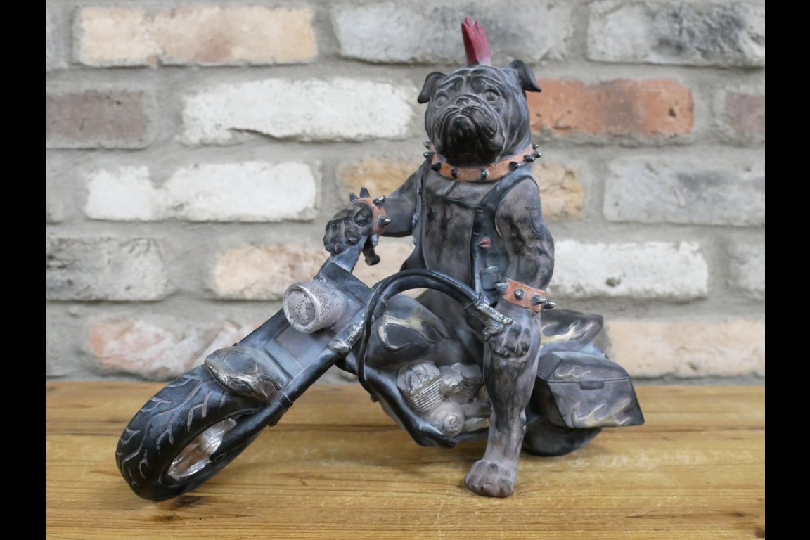 Bulldog On Motorbike