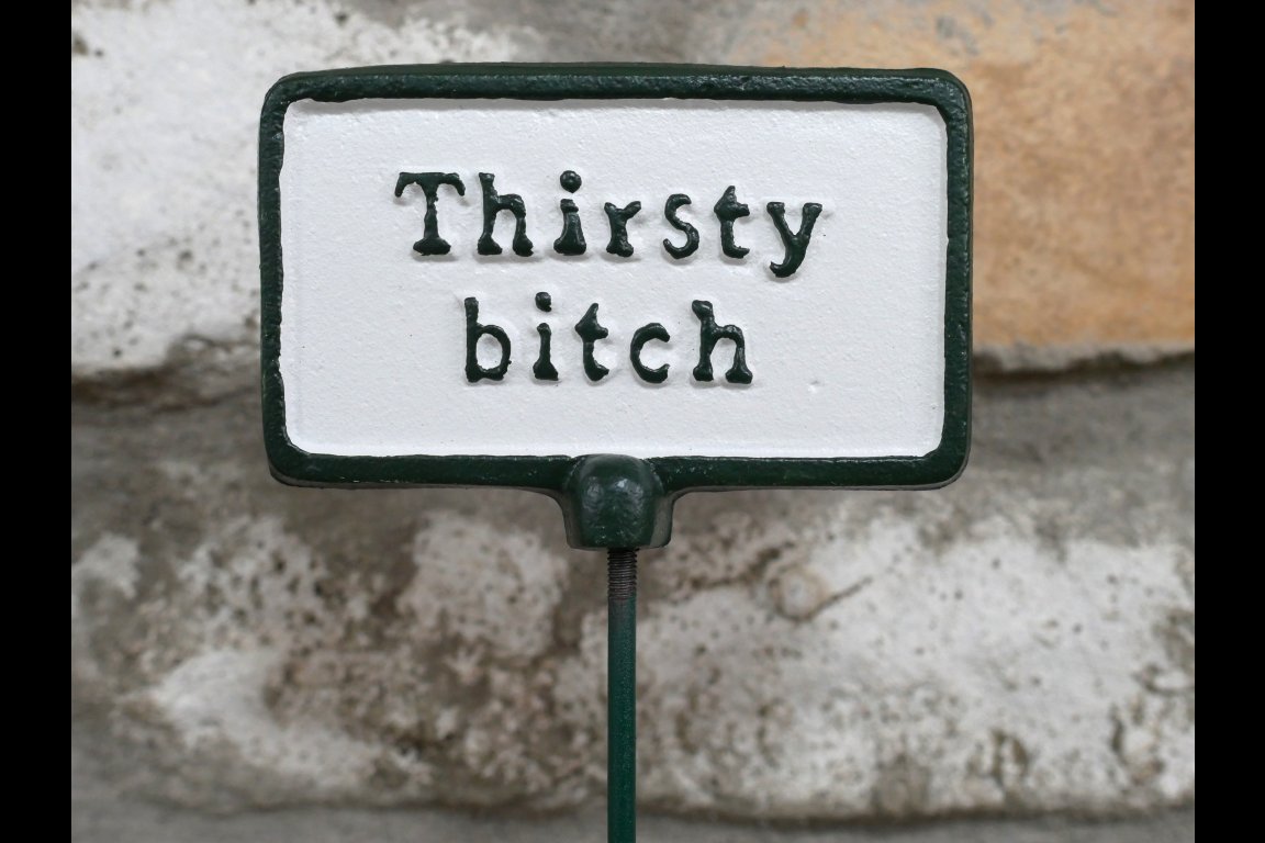 Plant Sign - Thirsty Bitch
