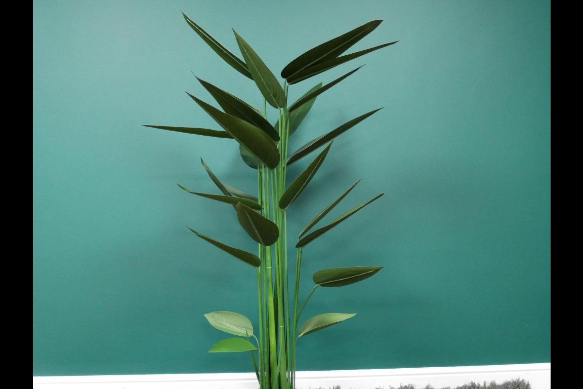 Artificial Canna