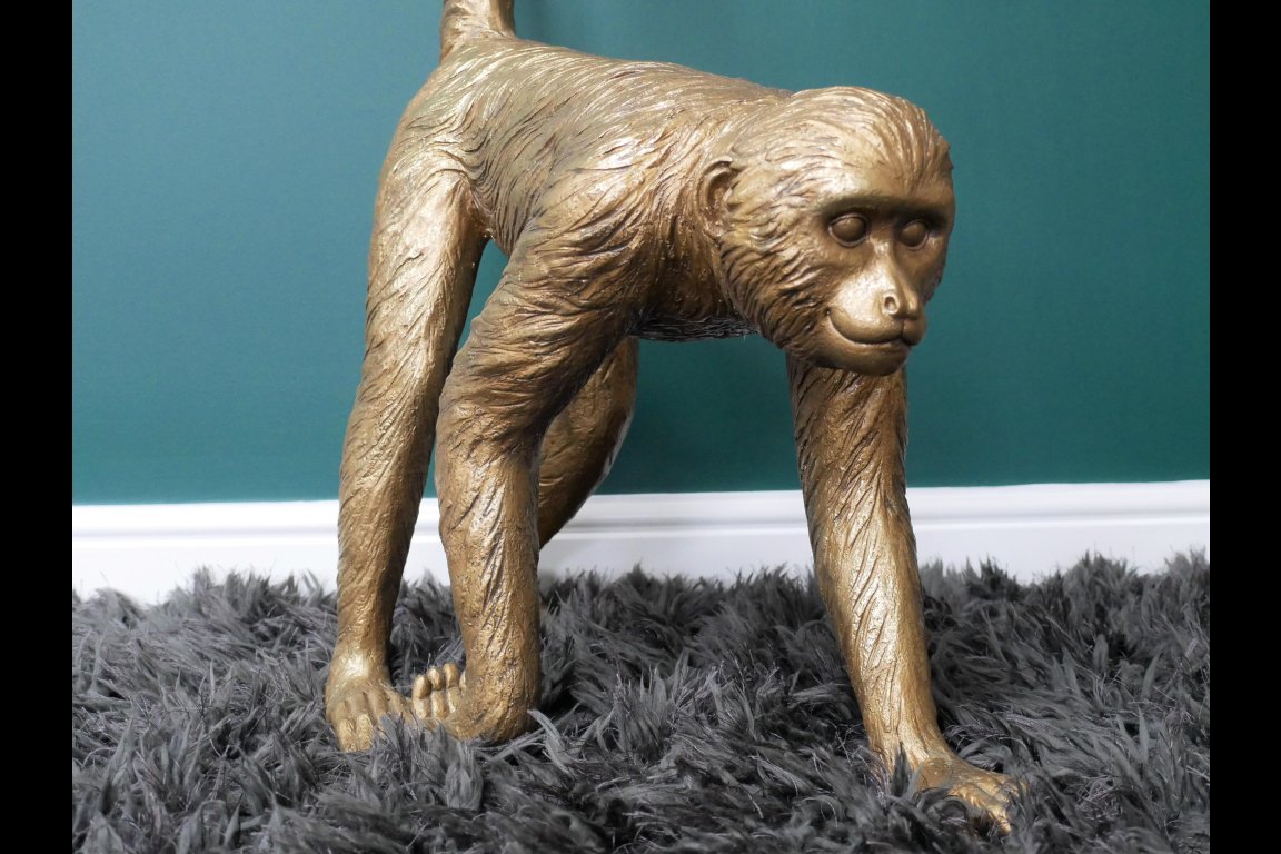 Monkey