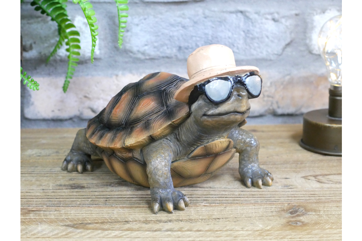 Holiday Tortoise