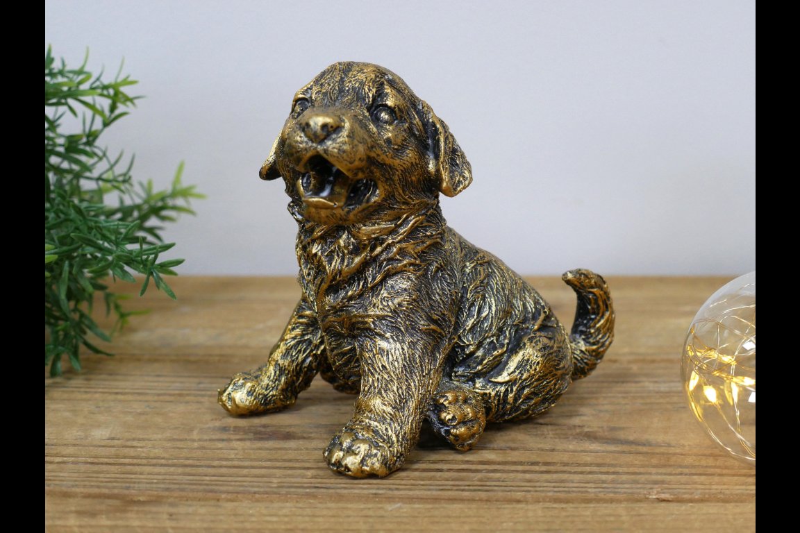 Puppy