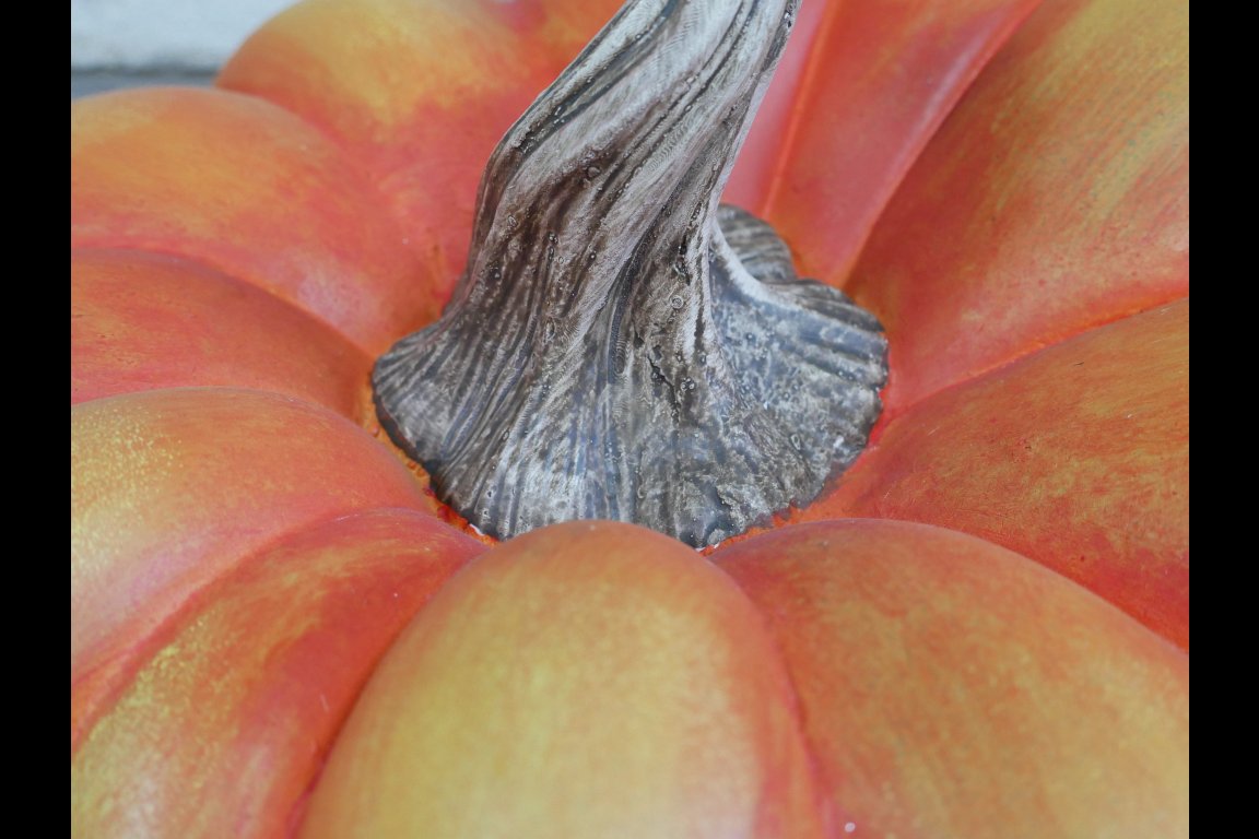 Pumpkin