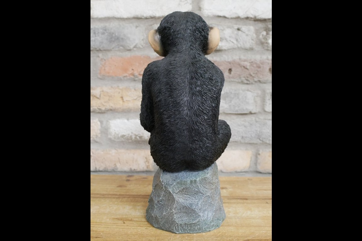 Monkey Thinking