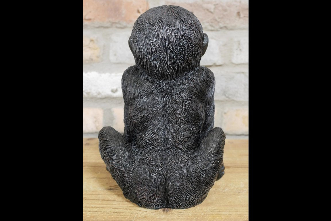 Baby Gorilla