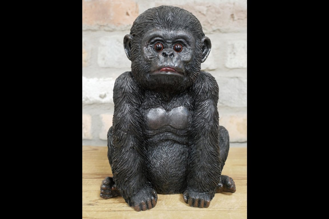Baby Gorilla