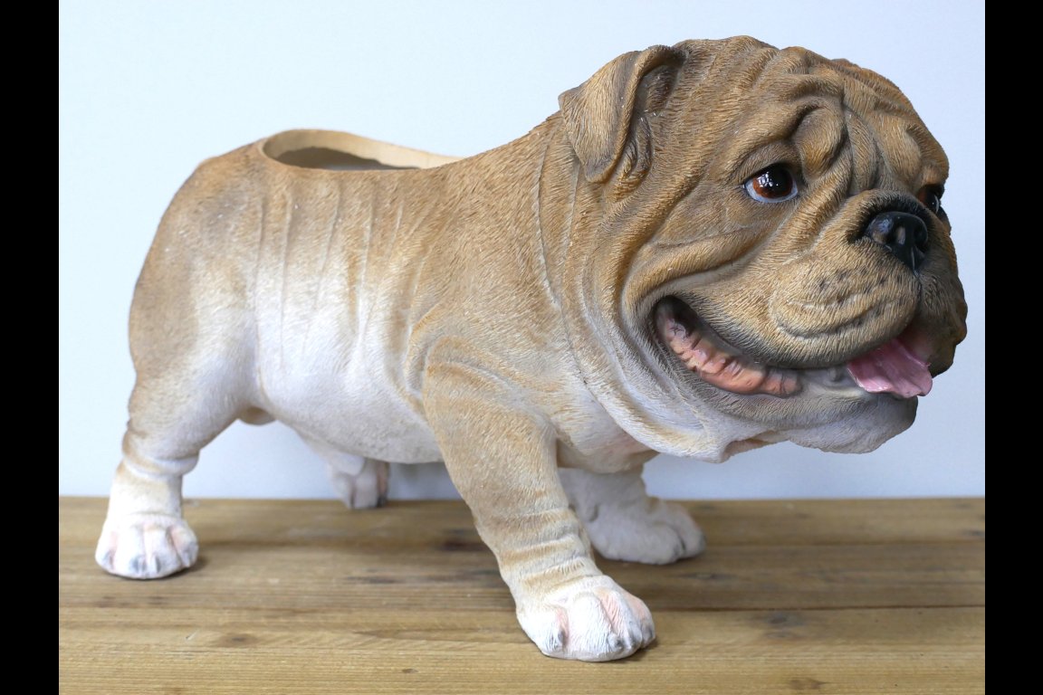 Bulldog Planter