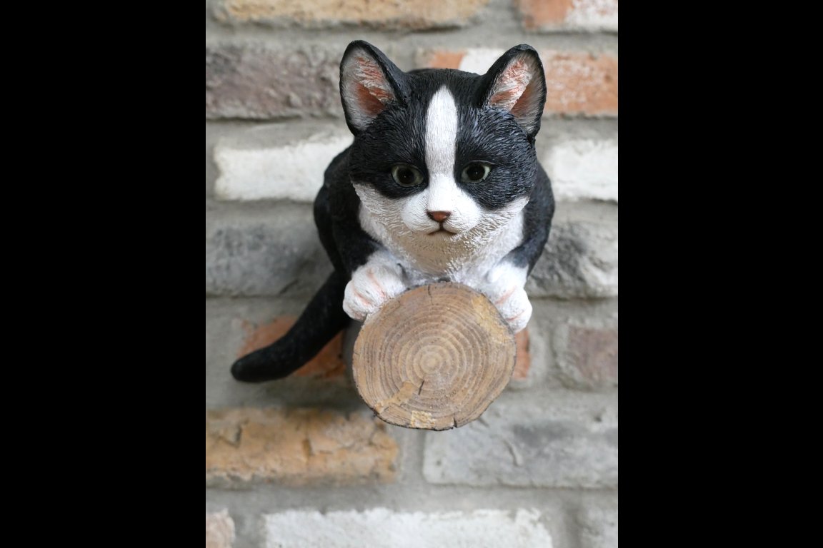 Cat On A Branch