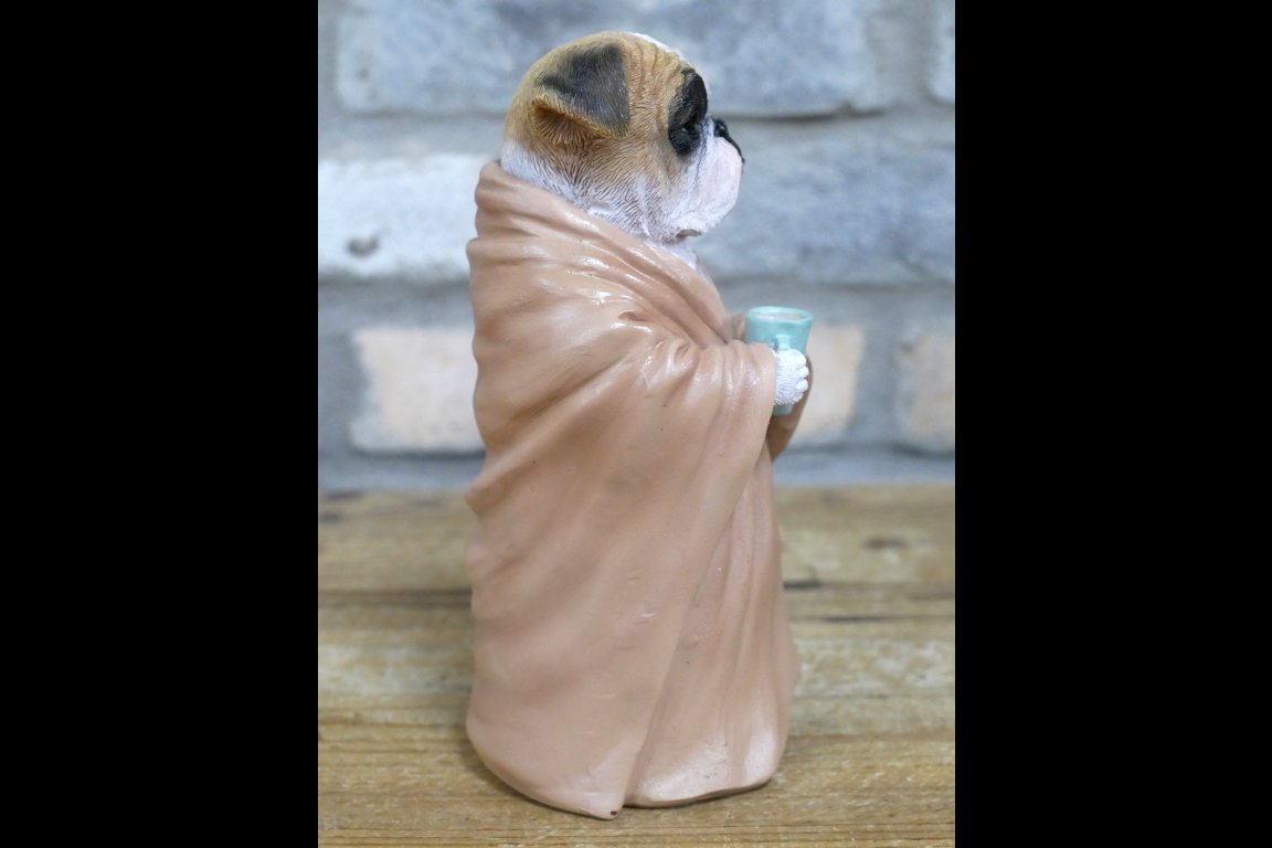 Bedtime Bulldog