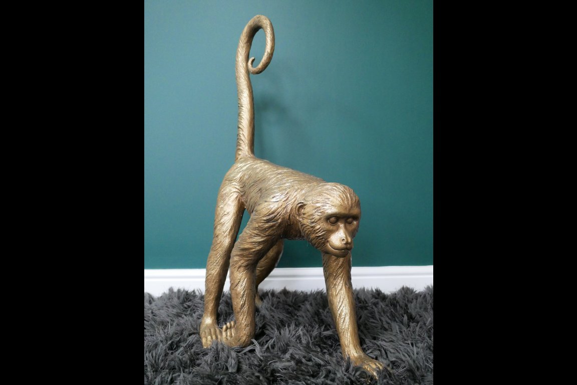 Monkey