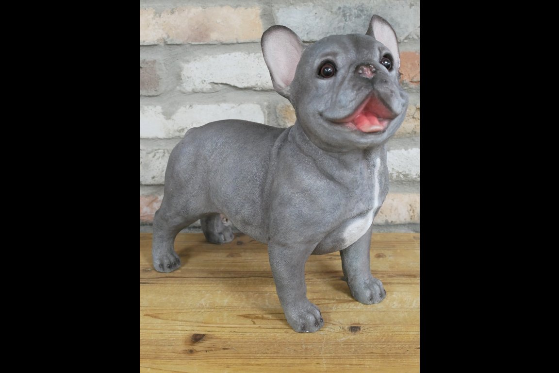 Standing Dog (Frenchie)