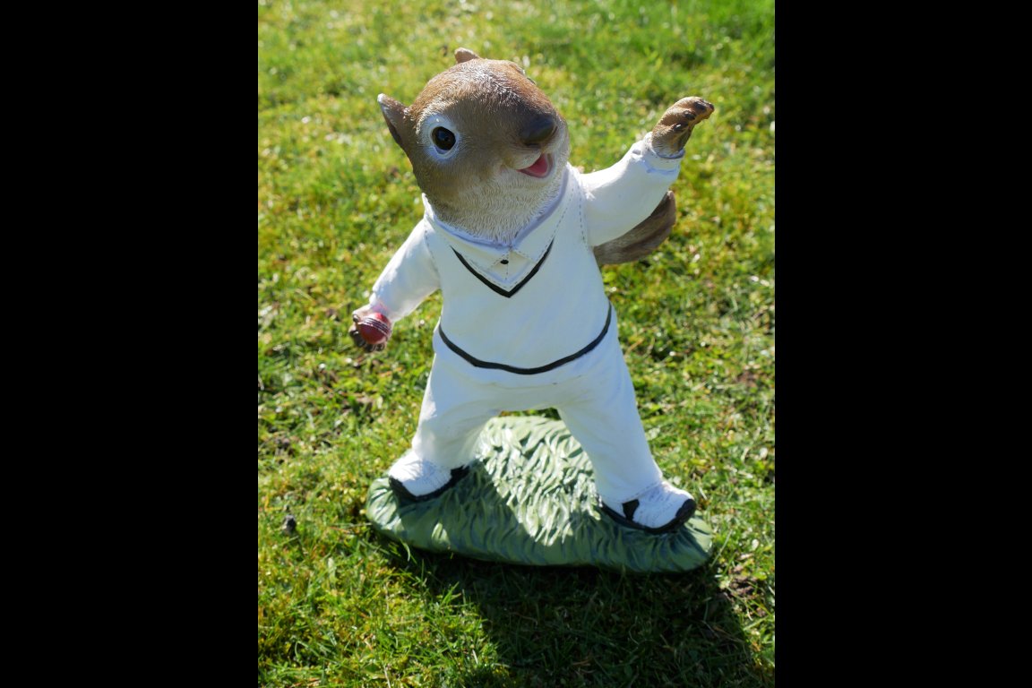 Squirrel Bowler
