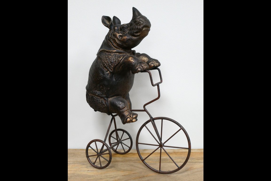 Rhino On Tricycle